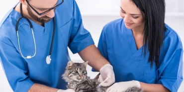 İzmir Veteriner (6)