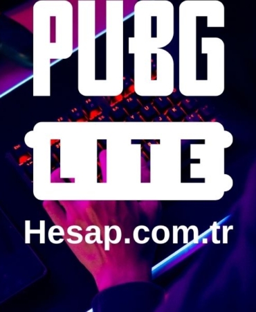 game satış (3)