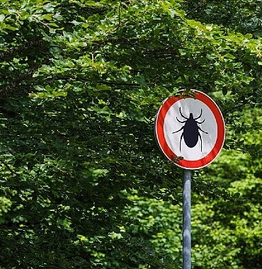 kene-isiriginda-erken-mudahale-hayat-kurtariyor.jpg